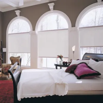 Motorized Solar Shades