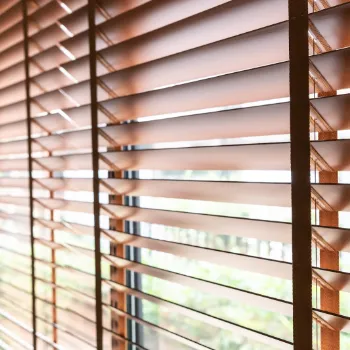 Venetian Blinds