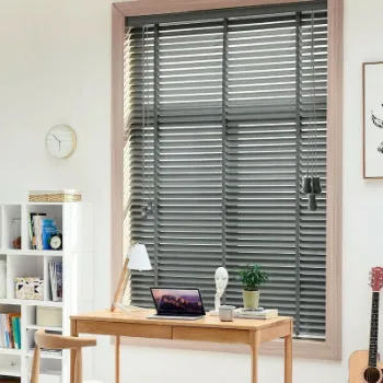 Venetian Blinds