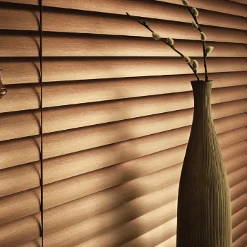 Venetian Blinds