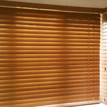 Venetian Blinds