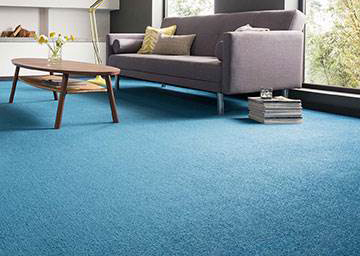 Carpet Rolls & Tiles 