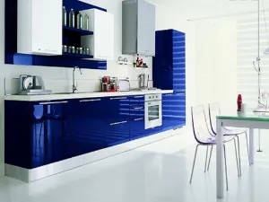 Navy Blue Kitchen Cabinets